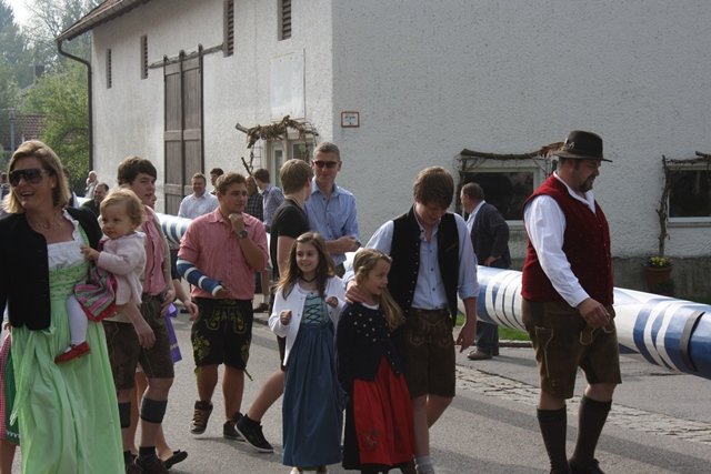 Maibaum 2013